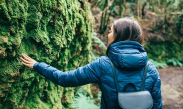 CDP is committed to maintaining environmental standards throughout our digital printing services, leading to people like this woman walking through green forests.